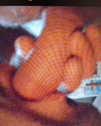 photo-thumb