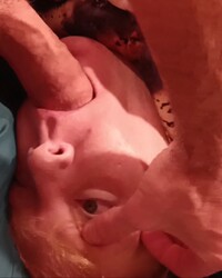 album-cover