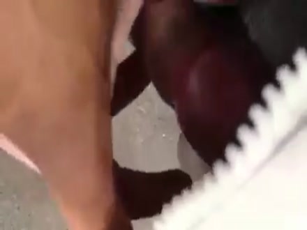 Thumb 9